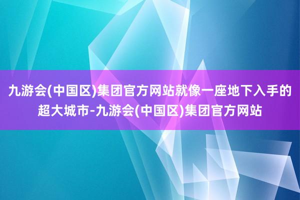 九游会(中国区)集团官方网站就像一座地下入手的超大城市-九游会(中国区)集团官方网站