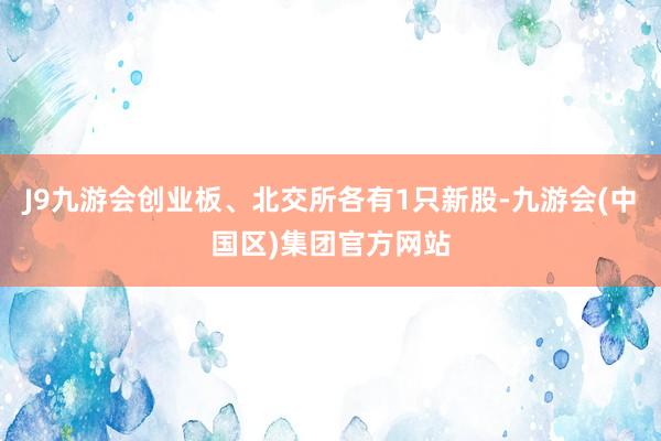 J9九游会创业板、北交所各有1只新股-九游会(中国区)集团官方网站