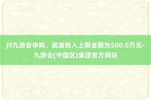 J9九游会申购、疏浚转入上限金额为500.0万元-九游会(中国区)集团官方网站